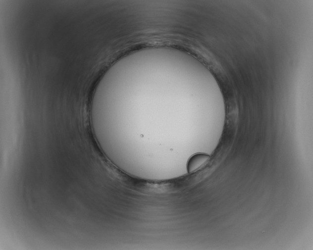 X0000112030469200908031026