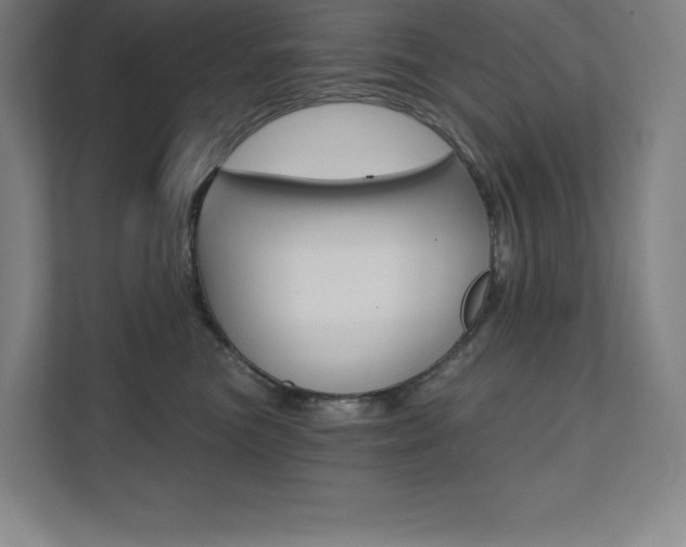 X0000112030473200908031026
