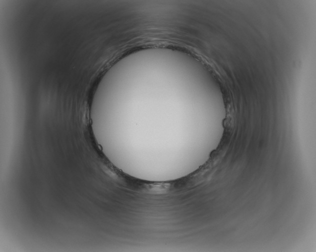 X0000112030474200908031026
