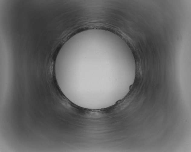X0000112030475200908031026