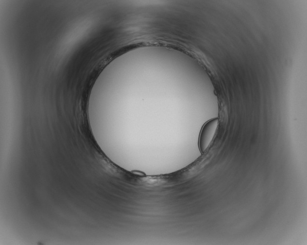 X0000112030477200908031026