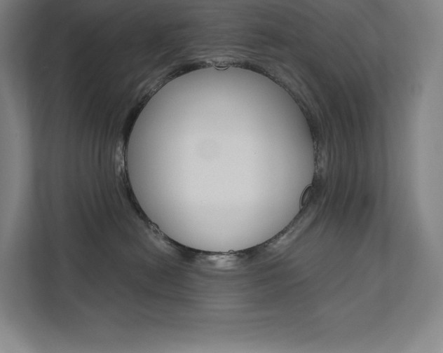 X0000112030478200908031026