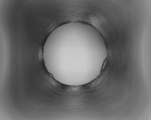 X0000112030479200908031026