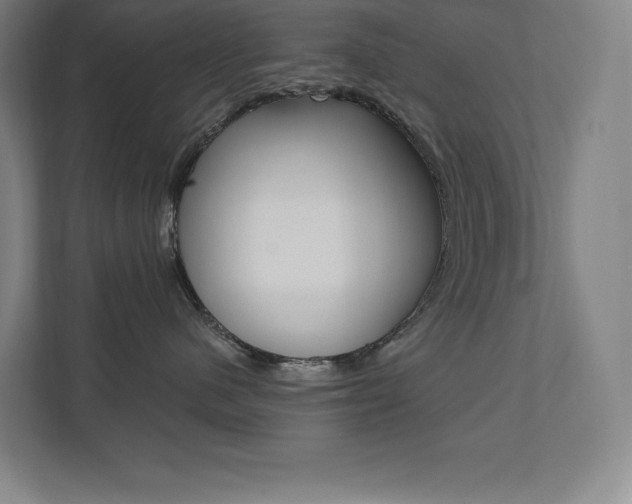 X0000112030480200908031026