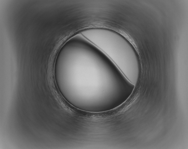 X0000112030481200908031025