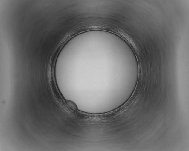 X0000112030482200908031025