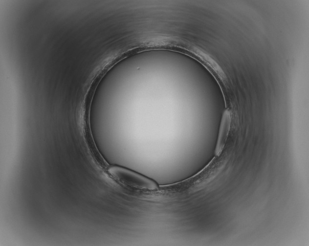 X0000112030485200908031025