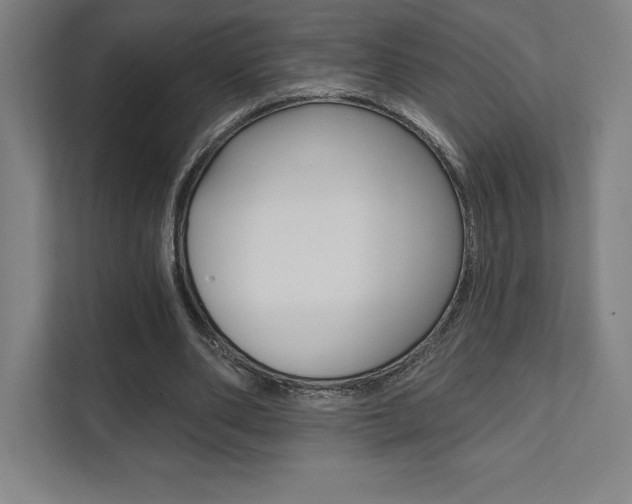 X0000112030486200908031025
