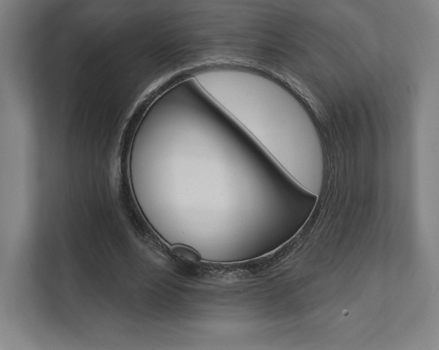X0000112030488200908031025