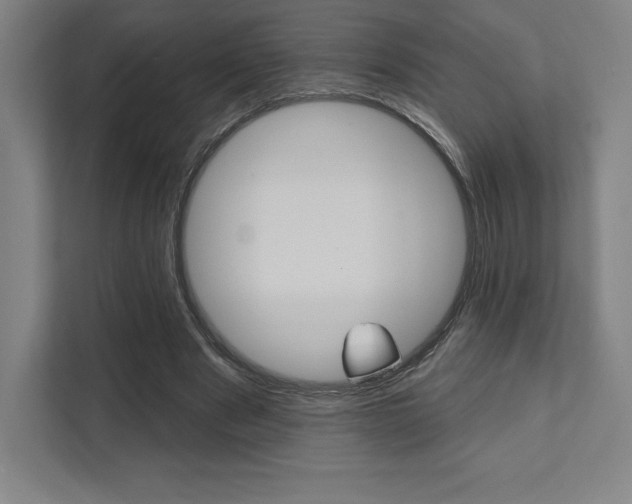 X0000112030489200908031025