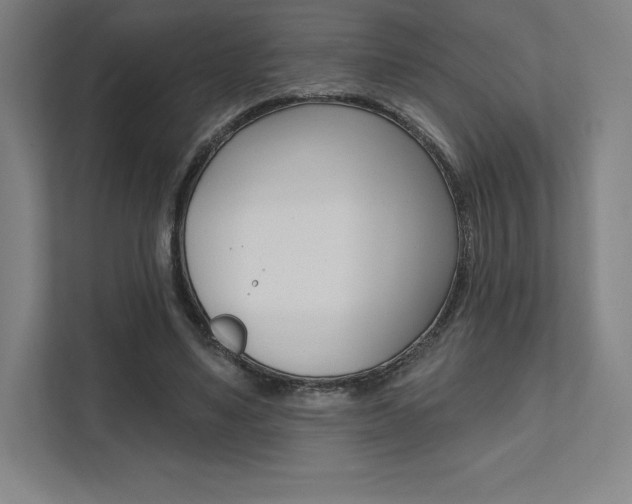 X0000112030491200908031025