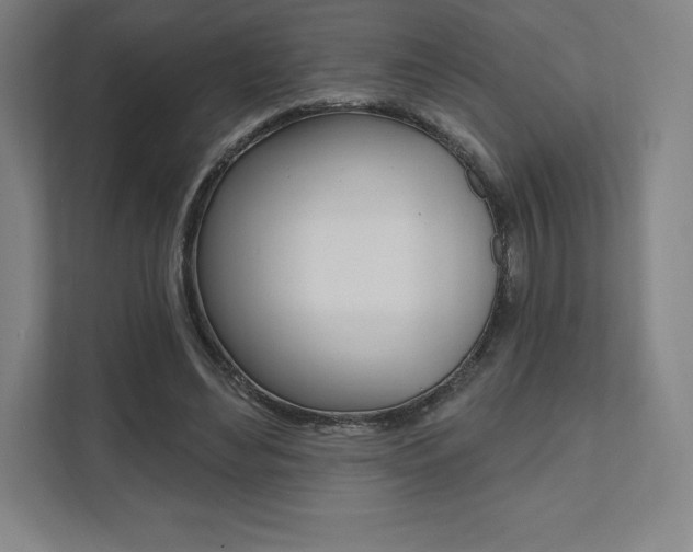 X0000112030492200908031025