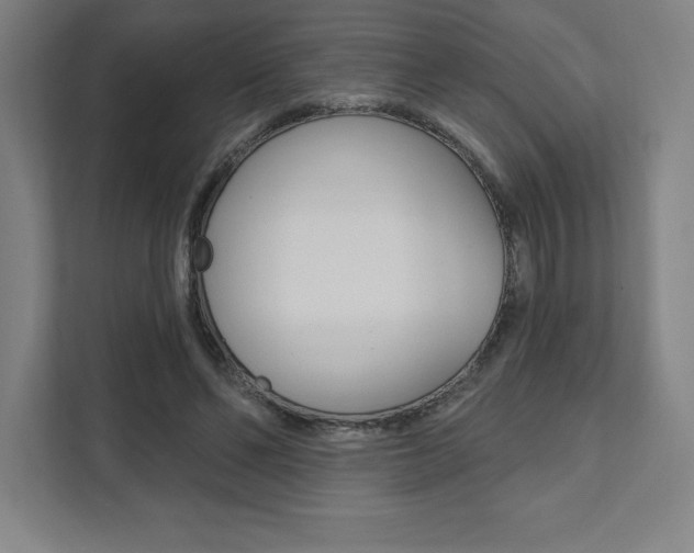 X0000112030494200908031025