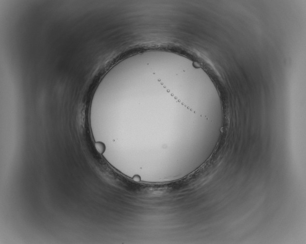X0000112030495200908031025