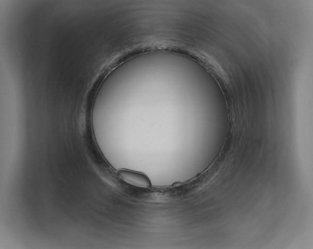 X0000112030496200908031025
