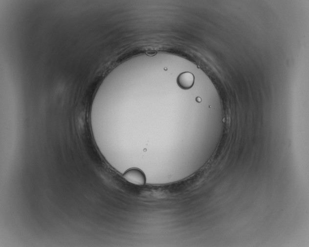 X0000112030503200908031025