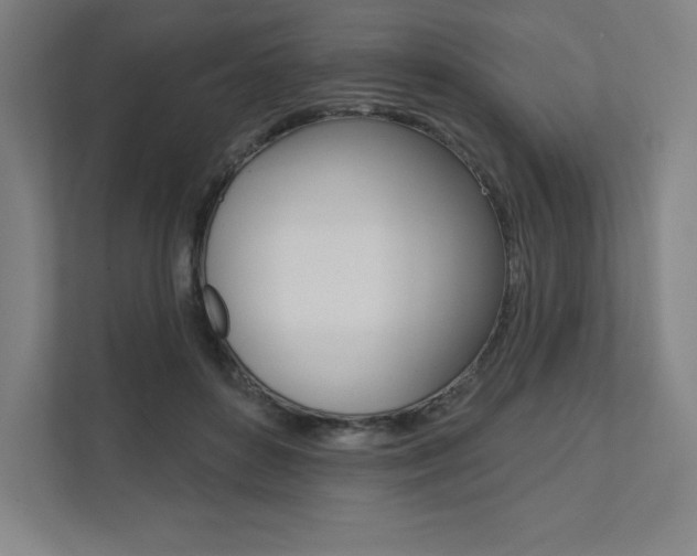 X0000112030504200908031025