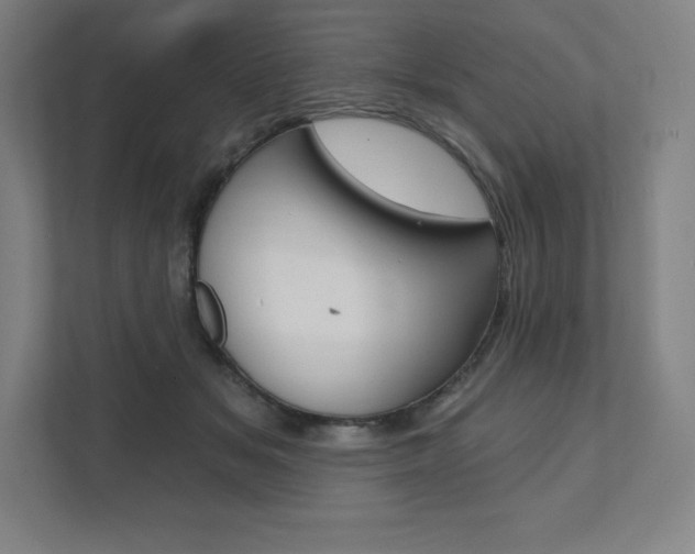 X0000112030509200908031025