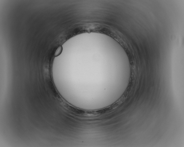 X0000112030510200908031025