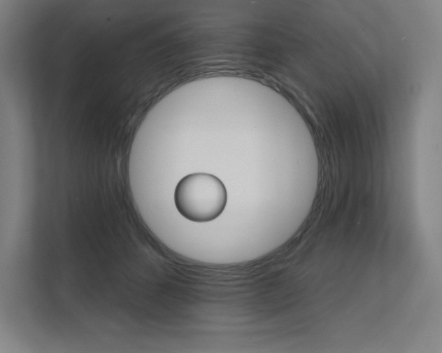 X0000112030512200908031025