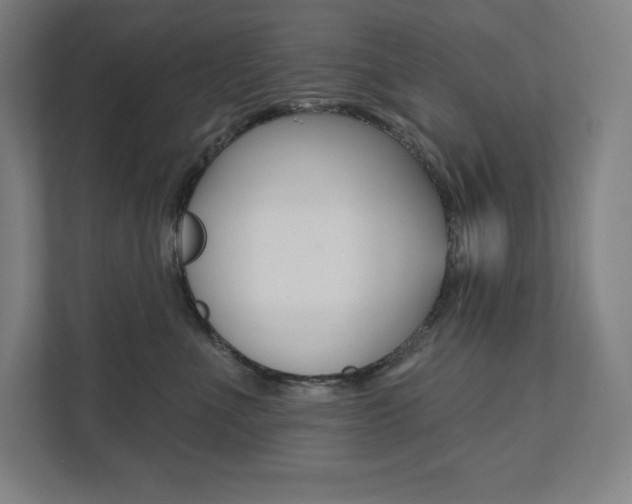 X0000112030523200908031025