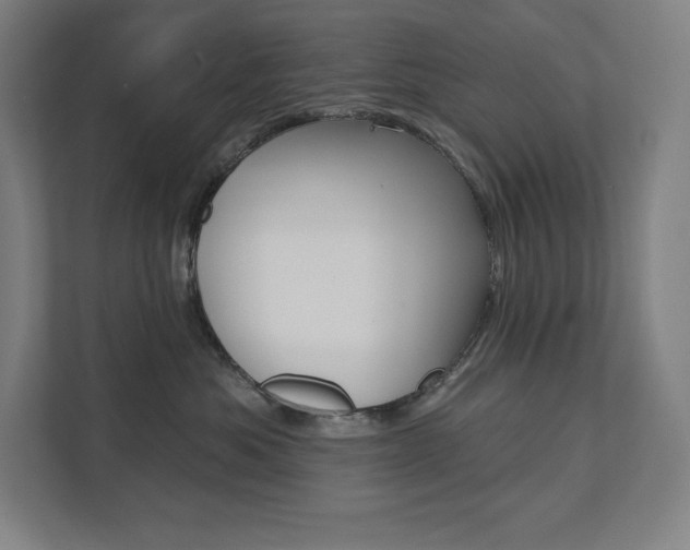 X0000112030525200908031025