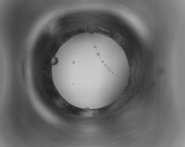 X0000112030527200908031025