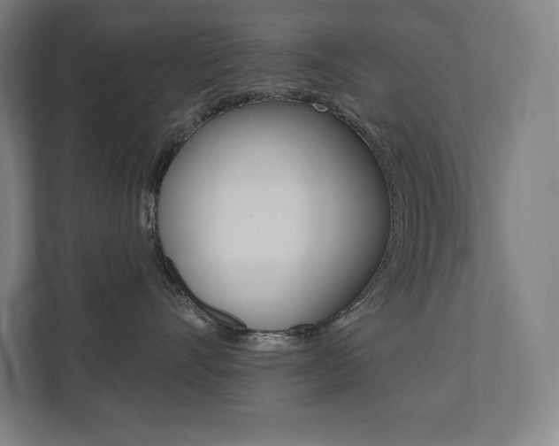 X0000112030528200908031024