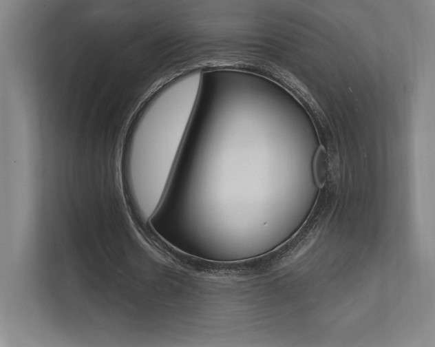X0000112030530200908031024