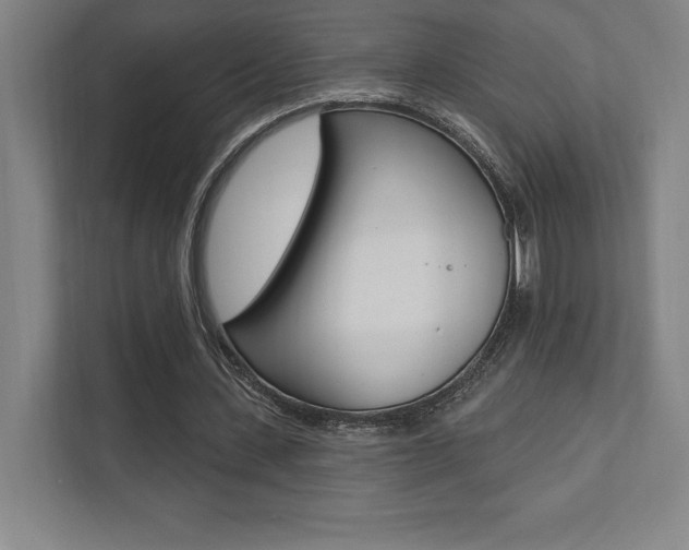X0000112030531200908031024