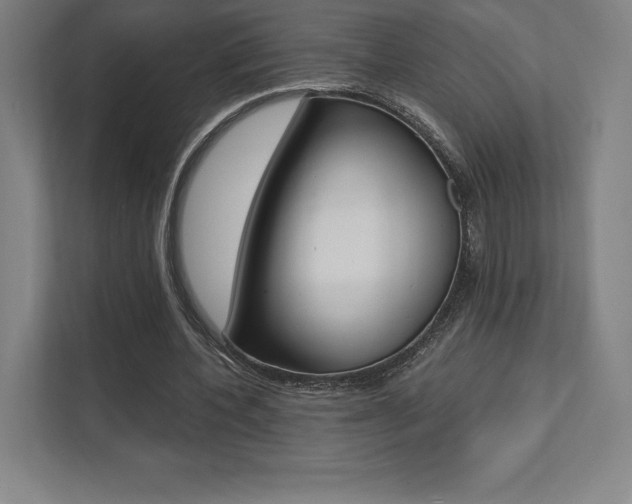 X0000112030532200908031024