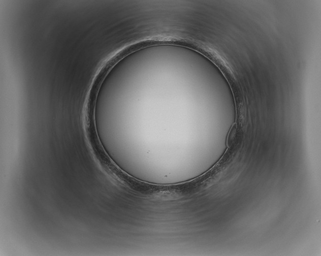 X0000112030536200908031024