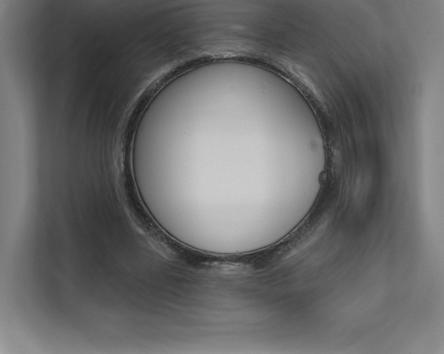 X0000112030539200908031024