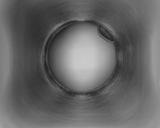 X0000112030540200908031024