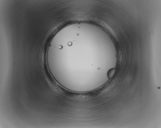 X0000112030542200908031024