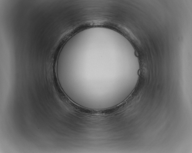 X0000112030543200908031024