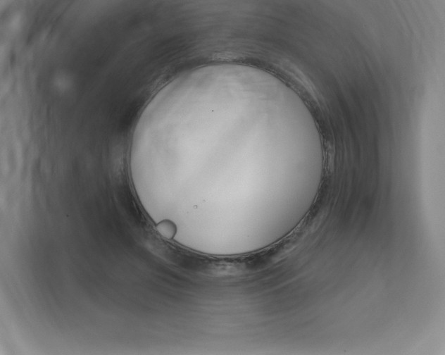 X0000112030549200908031024