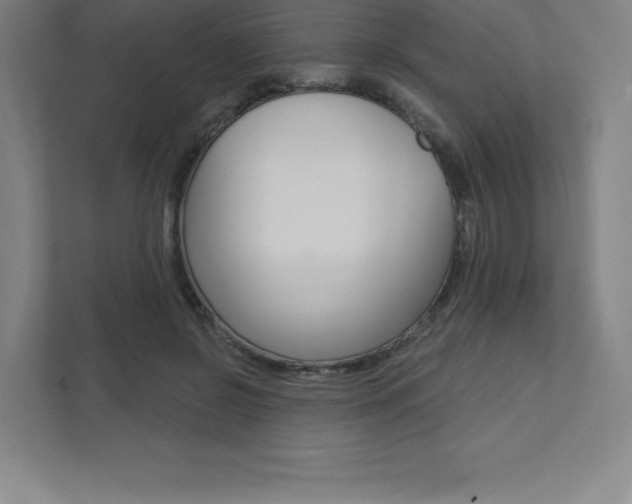 X0000112030550200908031024