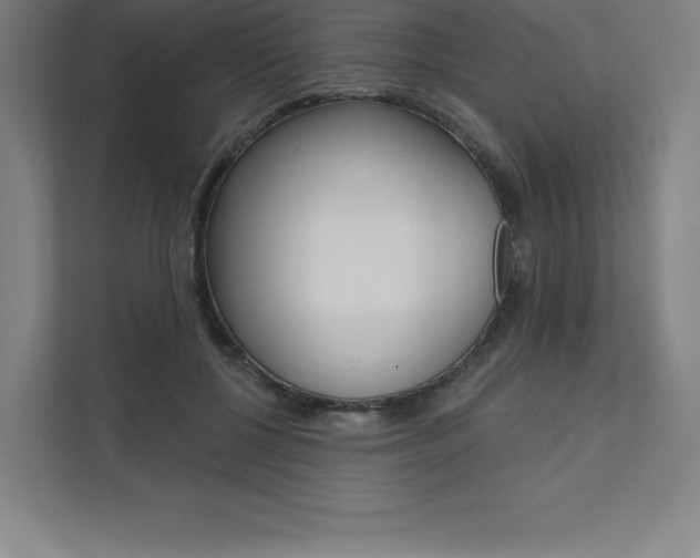 X0000112030552200908031024