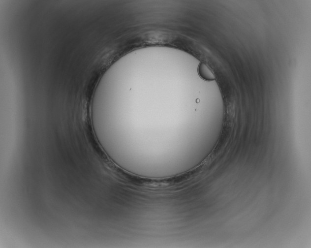 X0000112030554200908031024