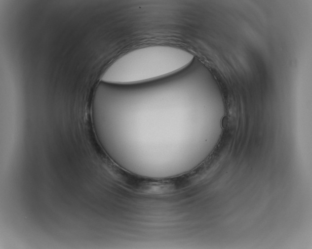 X0000112030555200908031024