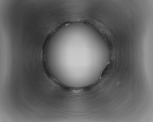 X0000112030560200908031024
