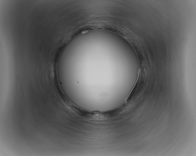 X0000112030562200908031024