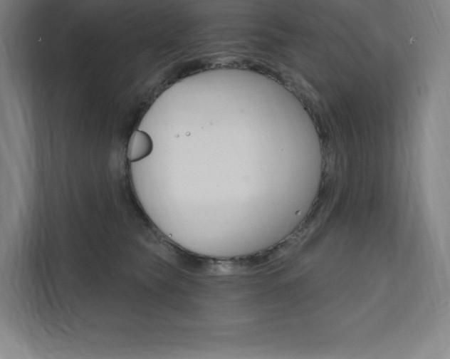 X0000112030565200908031024