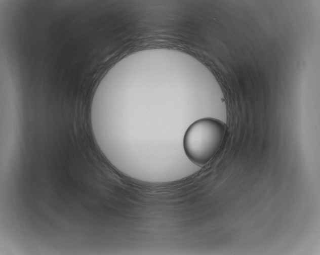 X0000112030566200908031024