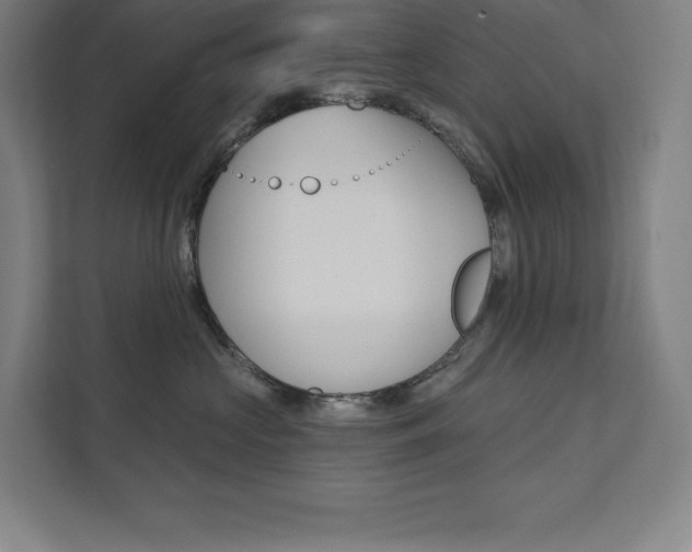 X0000112030573200908031024