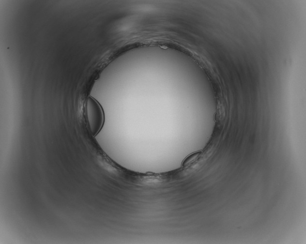 X0000112030574200908031024