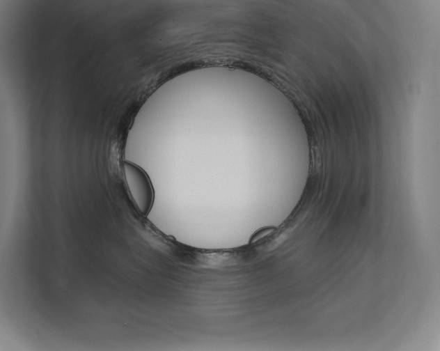 X0000112030575200908031024