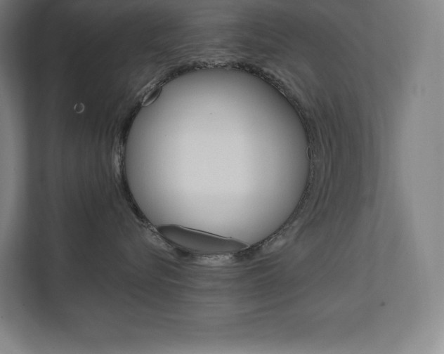 X0000112030576200908031024