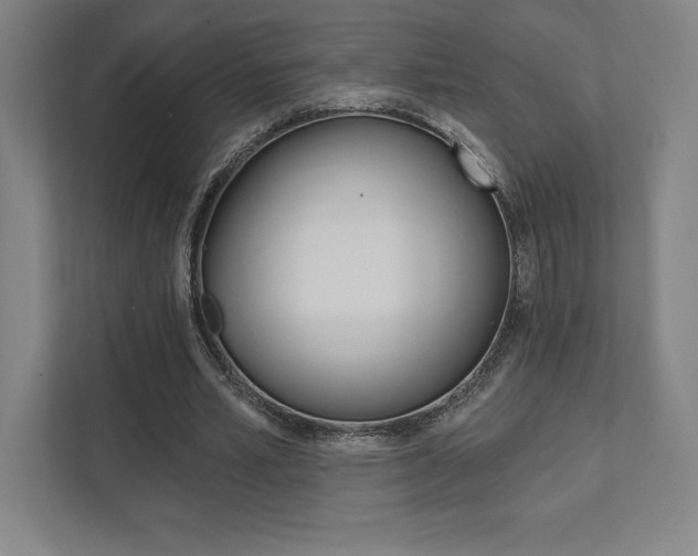 X0000112030581200908031024